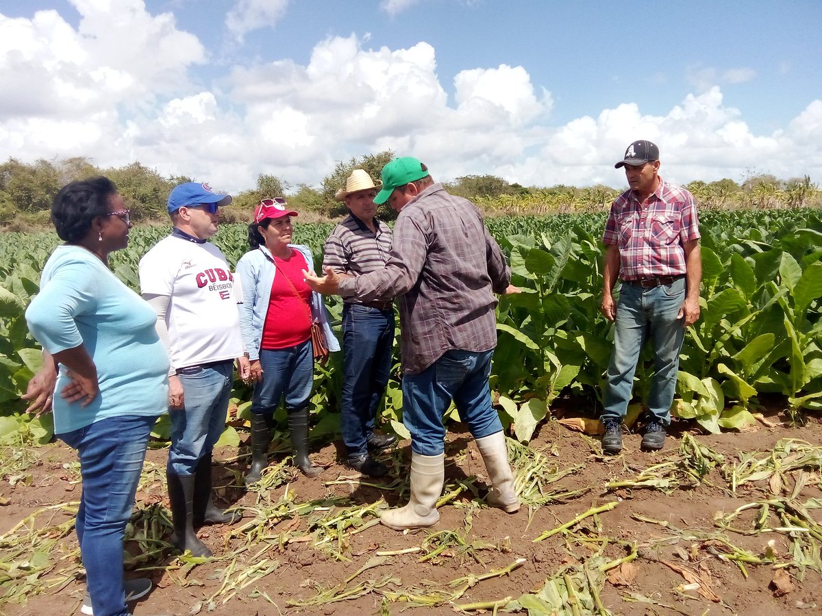 Anelys Ramírez González tweet media