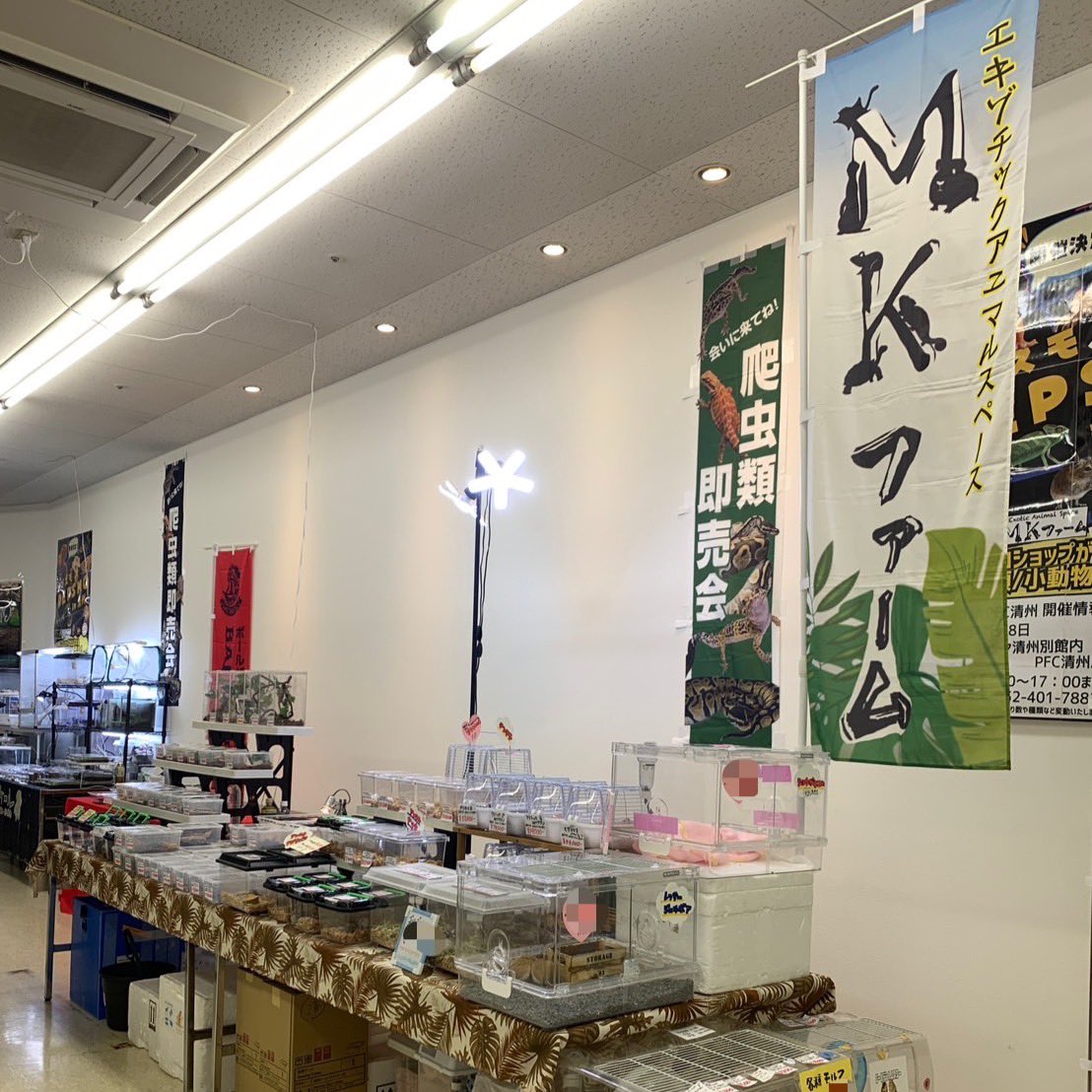 MKファーム@ tweet media