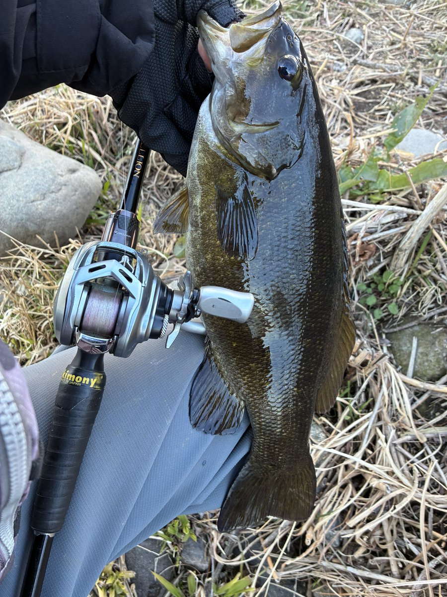 たぴやん tweet media