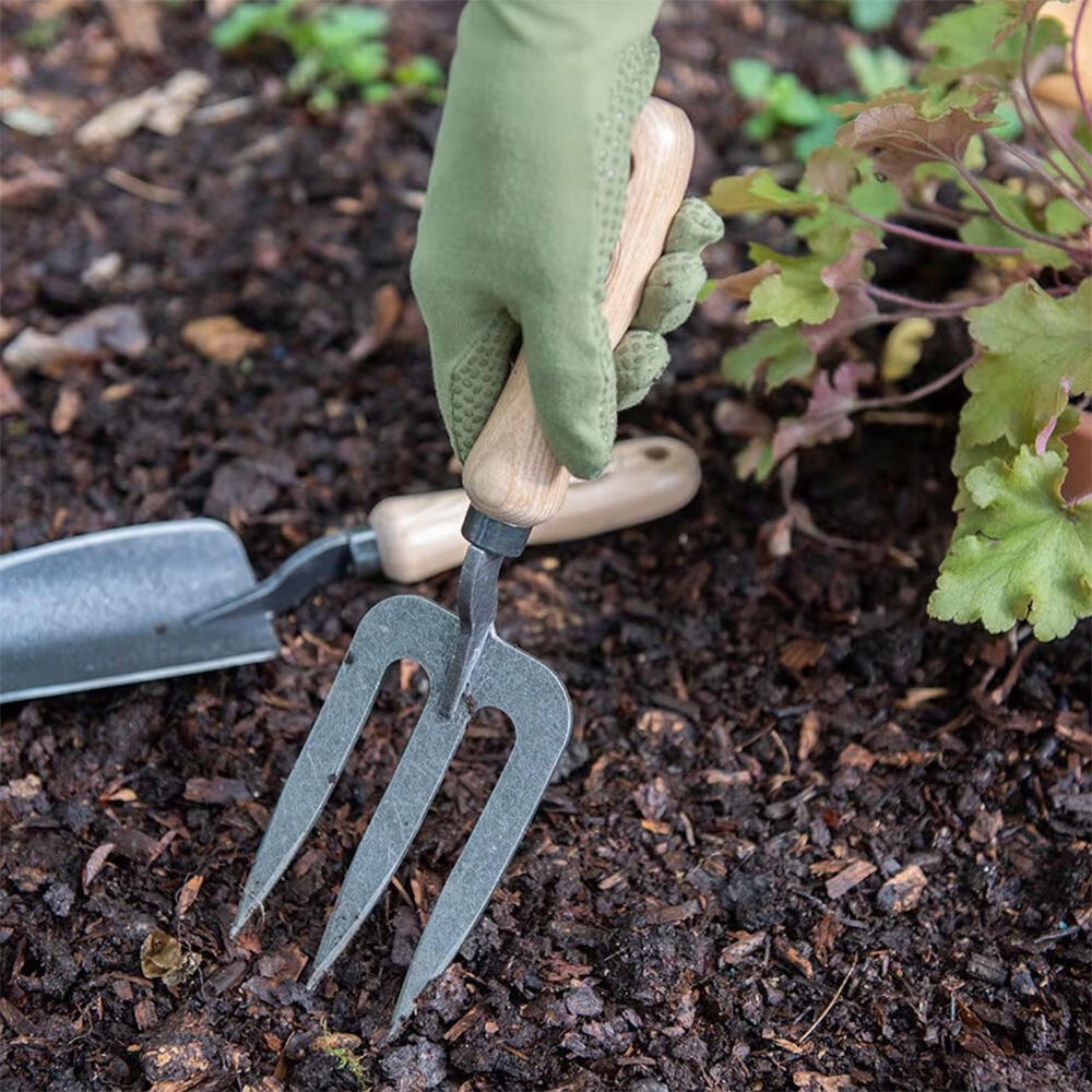 jinyuan80911's tweet image. 🌱 Stainless Steel Garden Fork with wooden handle.
Durable, ergonomic and perfect for loosening soil, weeding and garden prep.

📧 Contact: info@jinyuanint.com
🌐 Website: jinyuanint.com

#jinyuantools #gardenfork #gardentools #handtools #gardeningtools