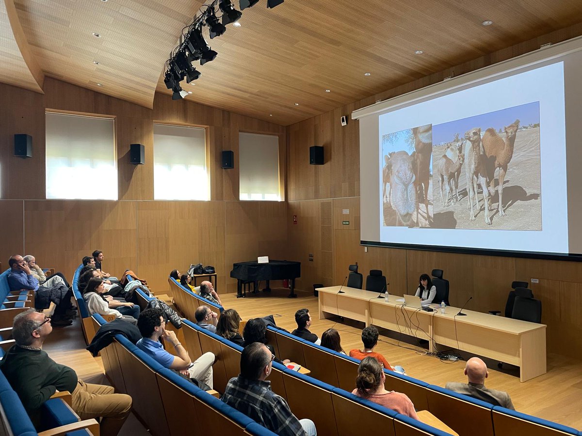 DiGHER - Digital Heritage Twins in SeGAP (UNIZAR) tweet media