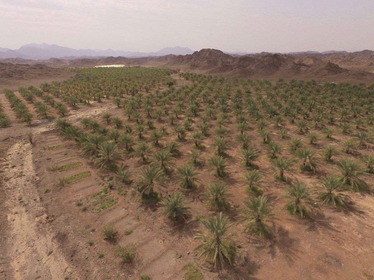 DiGHER - Digital Heritage Twins in SeGAP (UNIZAR) tweet media