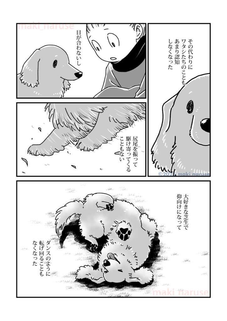 【再掲】「ワタシの人生に とうとう犬がいなくなってしまった」(3/5) 