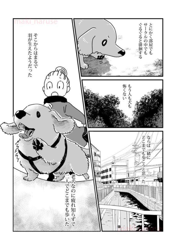 【再掲】「ワタシの人生に とうとう犬がいなくなってしまった」(3/5) 