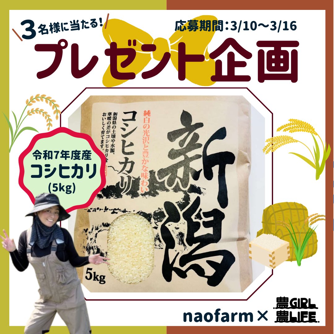 NogyoG's tweet photo. ／
🎁プレゼント企画🎁
『令和7年度産コシヒカリ(5kg)』
提供：naofarm
＼
⁡
◼︎メッセージ：
新潟県新発田市で農家を営んでいる小林と申します。
みなさんに国産の美味しいものを届けられるように一生懸命お仕事してます。
お米も野菜も果物も国産がみなさんに愛されますように☆
⁡
【応募方法】
1️⃣@NogyoG をフォロー
↓
2️⃣この投稿を引用リツイート＆コメント
⁡
【当選人数】
３名様
⁡
【締切】
3月16日(月) 23:59
⁡
【当選連絡】
当選者へDM
⁡
#農girl農life 
#農業ガール
#農業女子
#農業
#プレゼント企画