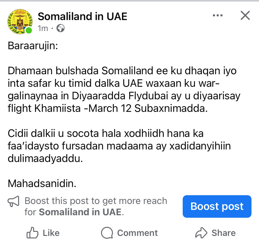 Masoud ALI tweet media