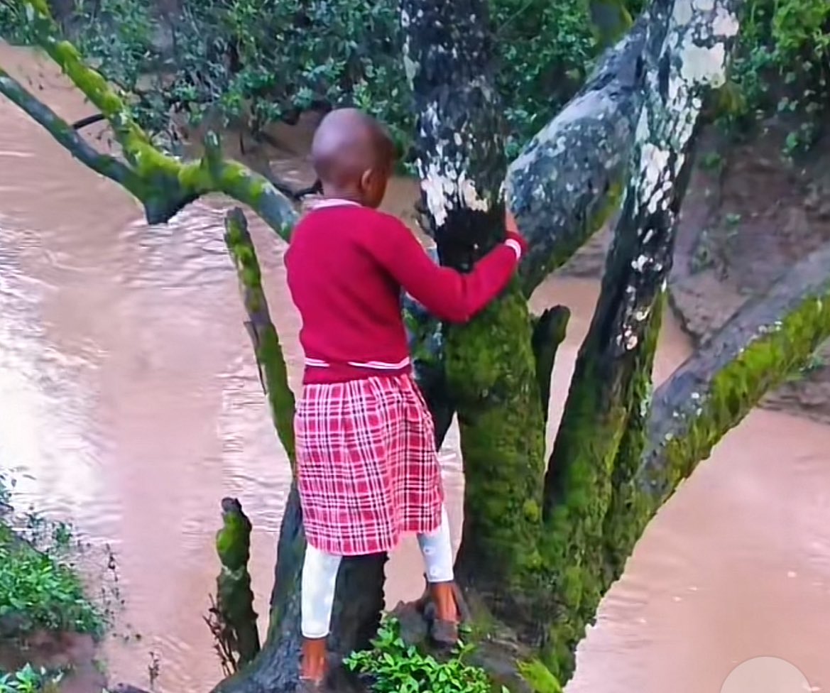 JoyceHuru's tweet photo. Kibaya zaidi huo mto pale chini una mamba ila tz kuwapa mageneral magari ya bilion 6 ni bora kuliko kujenga daraja pale Katavi n tuna JKT n mshahara wanapewa kila mwezi! https://t.co/DOOB8nQnnu
