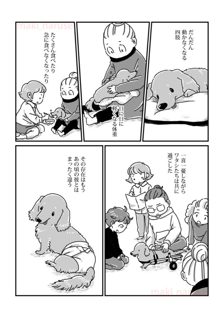 【再掲】「ワタシの人生に とうとう犬がいなくなってしまった」(4/5) 