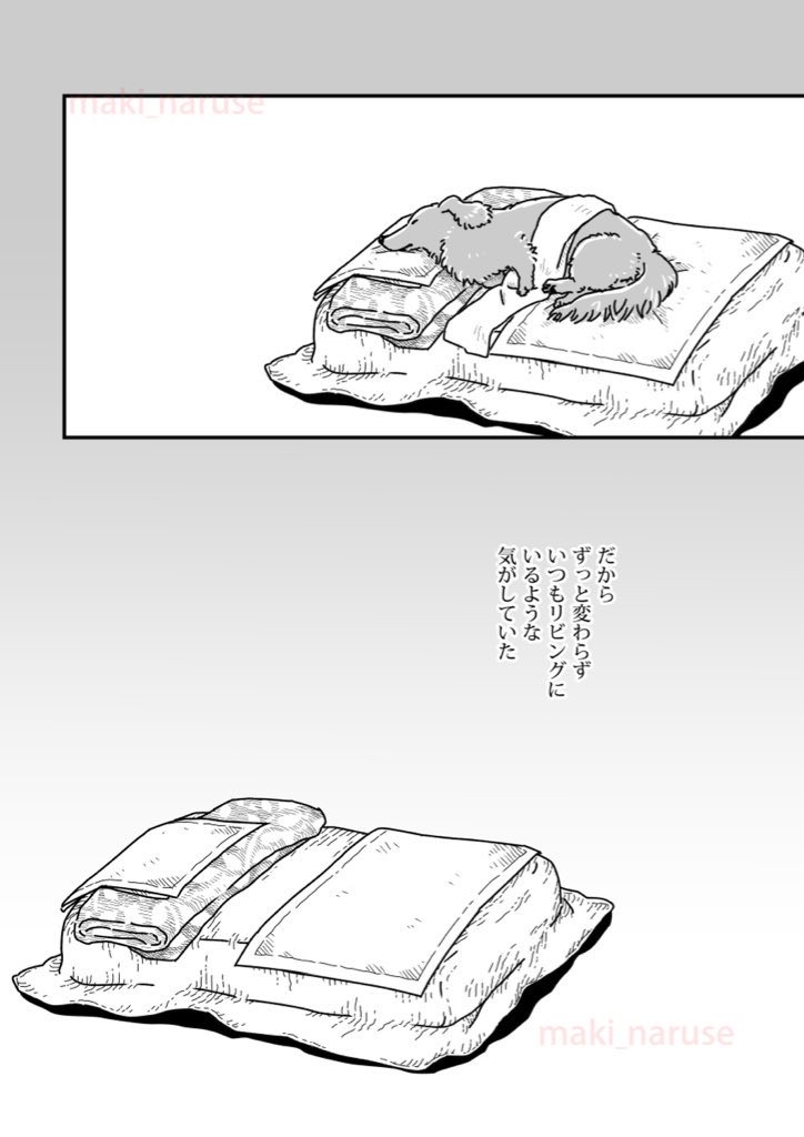 【再掲】「ワタシの人生に とうとう犬がいなくなってしまった」(4/5) 