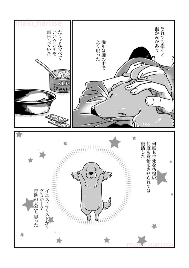 【再掲】「ワタシの人生に とうとう犬がいなくなってしまった」(4/5) 