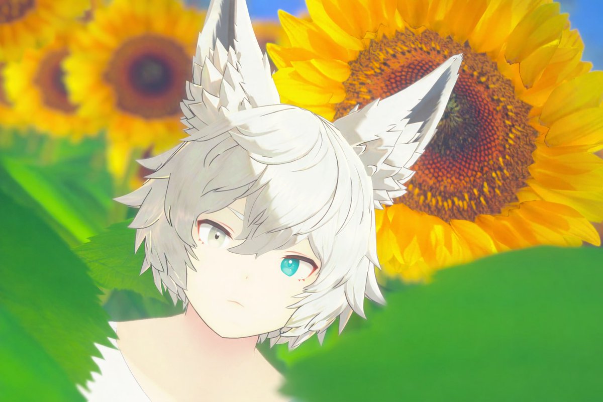 ぽちいぬ tweet media