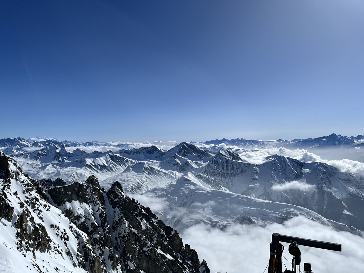 Young Platform tweet media