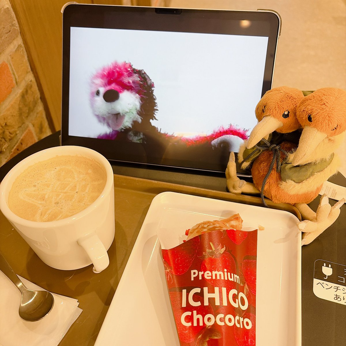 ひきこもドードー tweet media