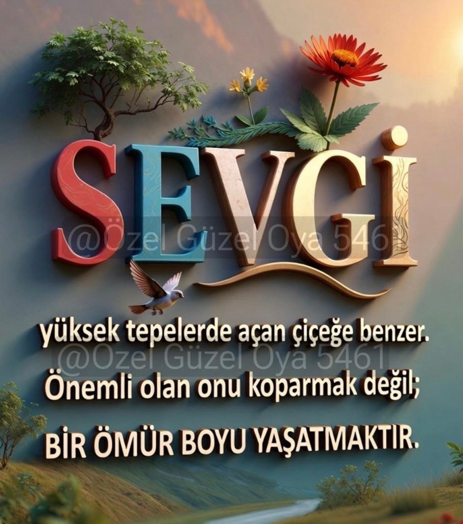 Mustafa Brcnoglu (@mhndsmst) on Twitter photo 