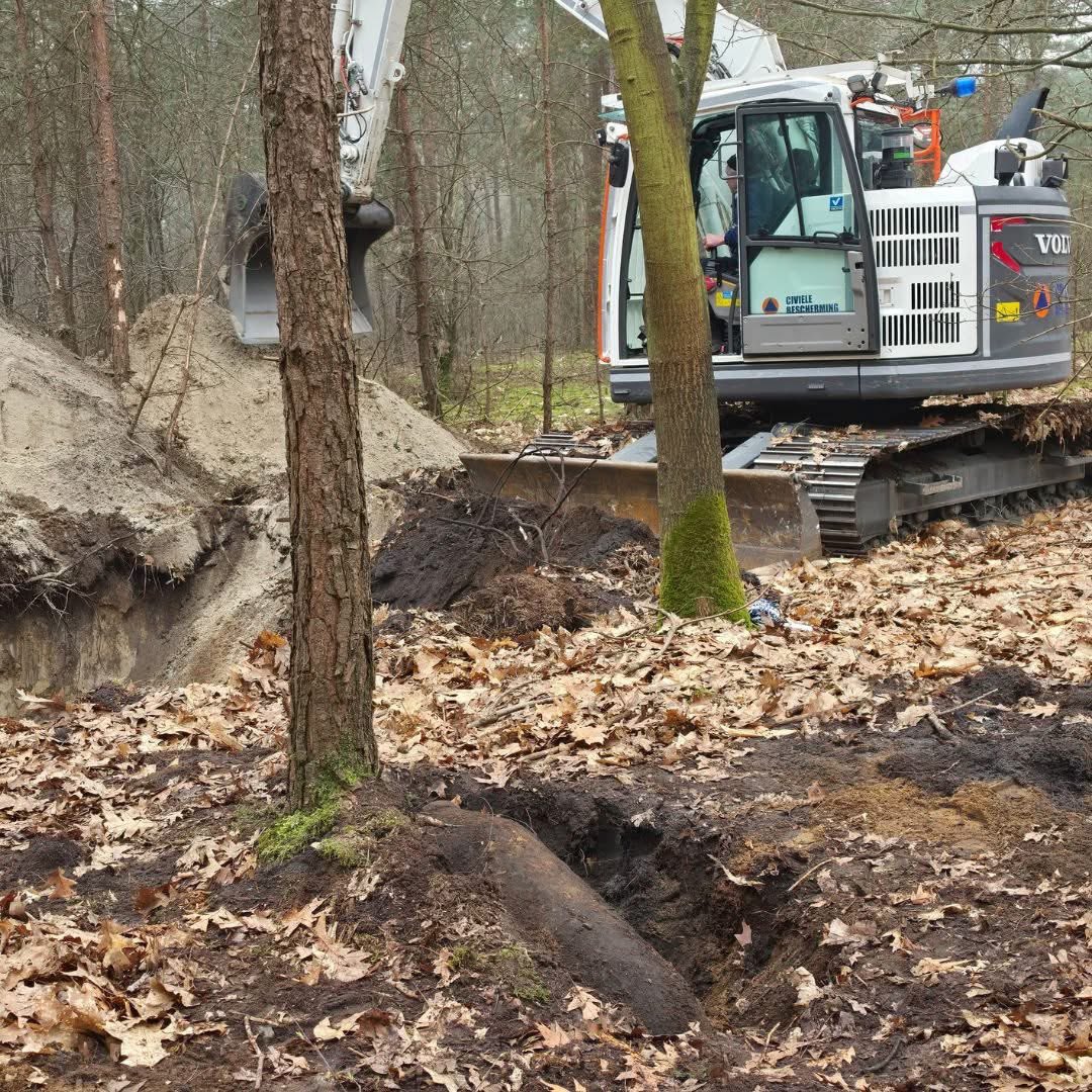 Genevra Charsley tweet media