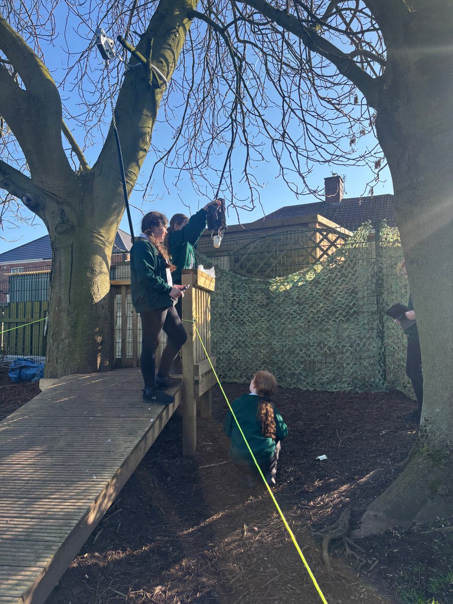 SedgefieldHardw's tweet image. Inspired by the incredible work of NASA, Year 5 finished their forces and materials unit last week by exploring air resistance, material suitability and fair testing as they engineered parachutes built for success! Well done, Year 5 — future aerospace engineers in the making! 🚀