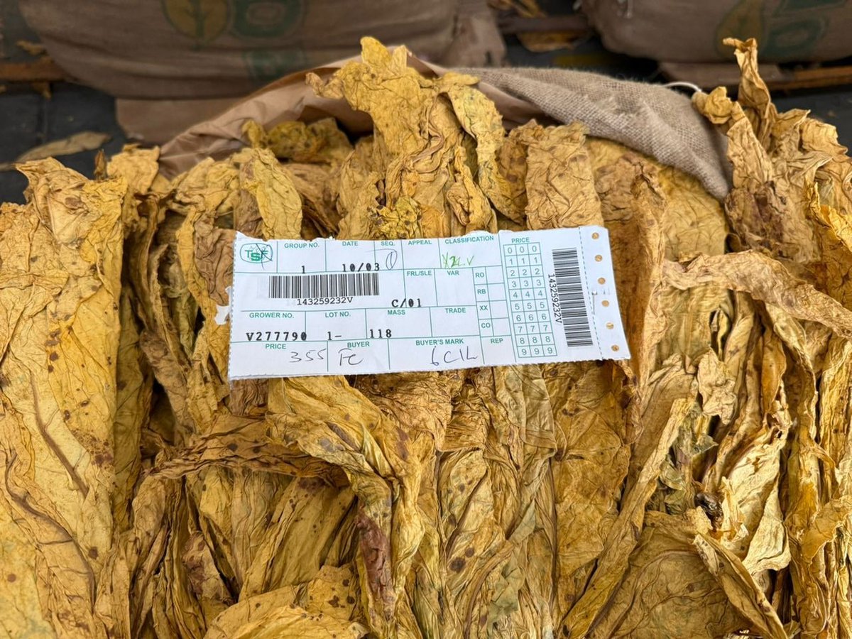 Tobacco Industry & Marketing Board tweet media