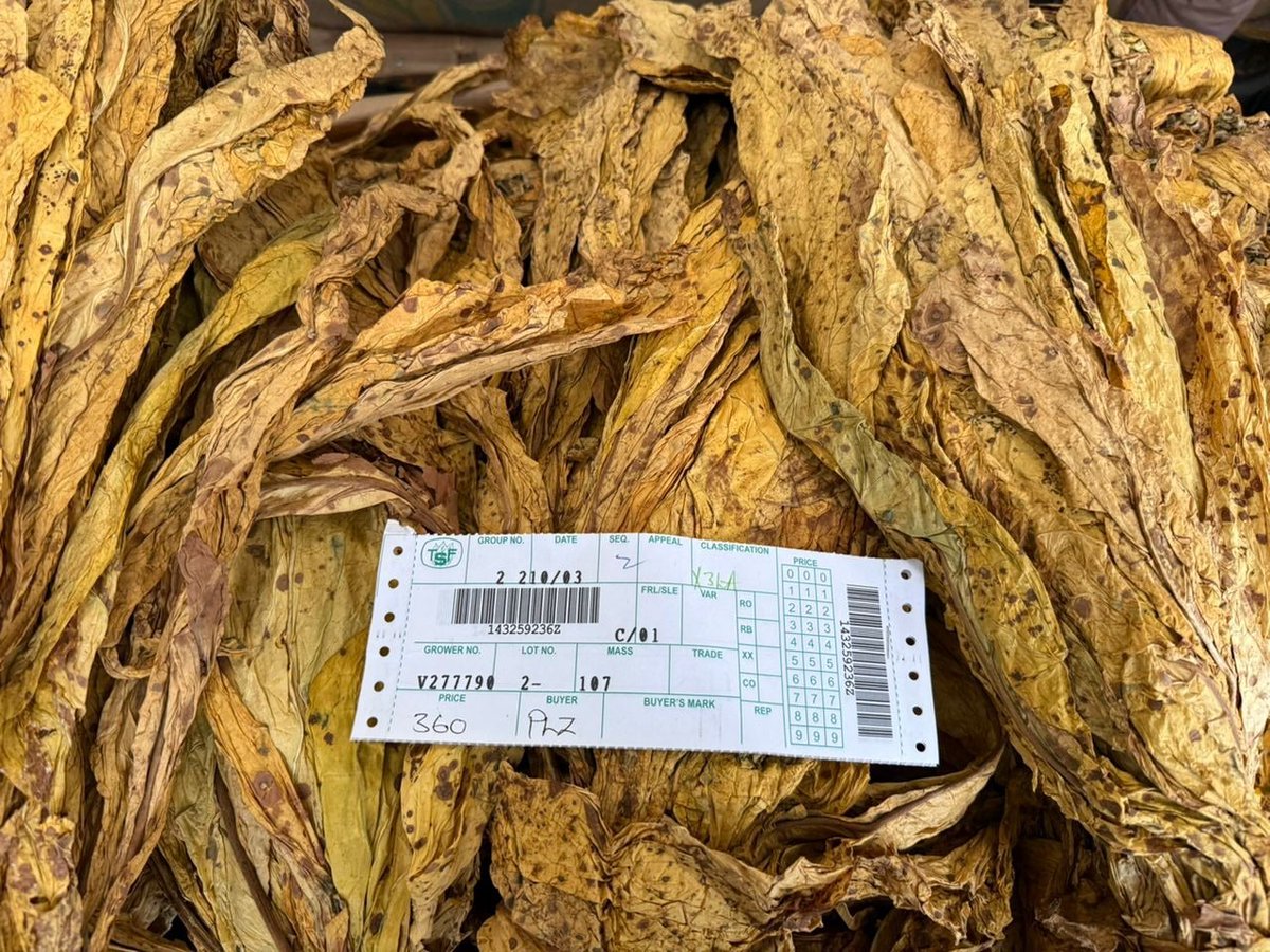 Tobacco Industry & Marketing Board tweet media