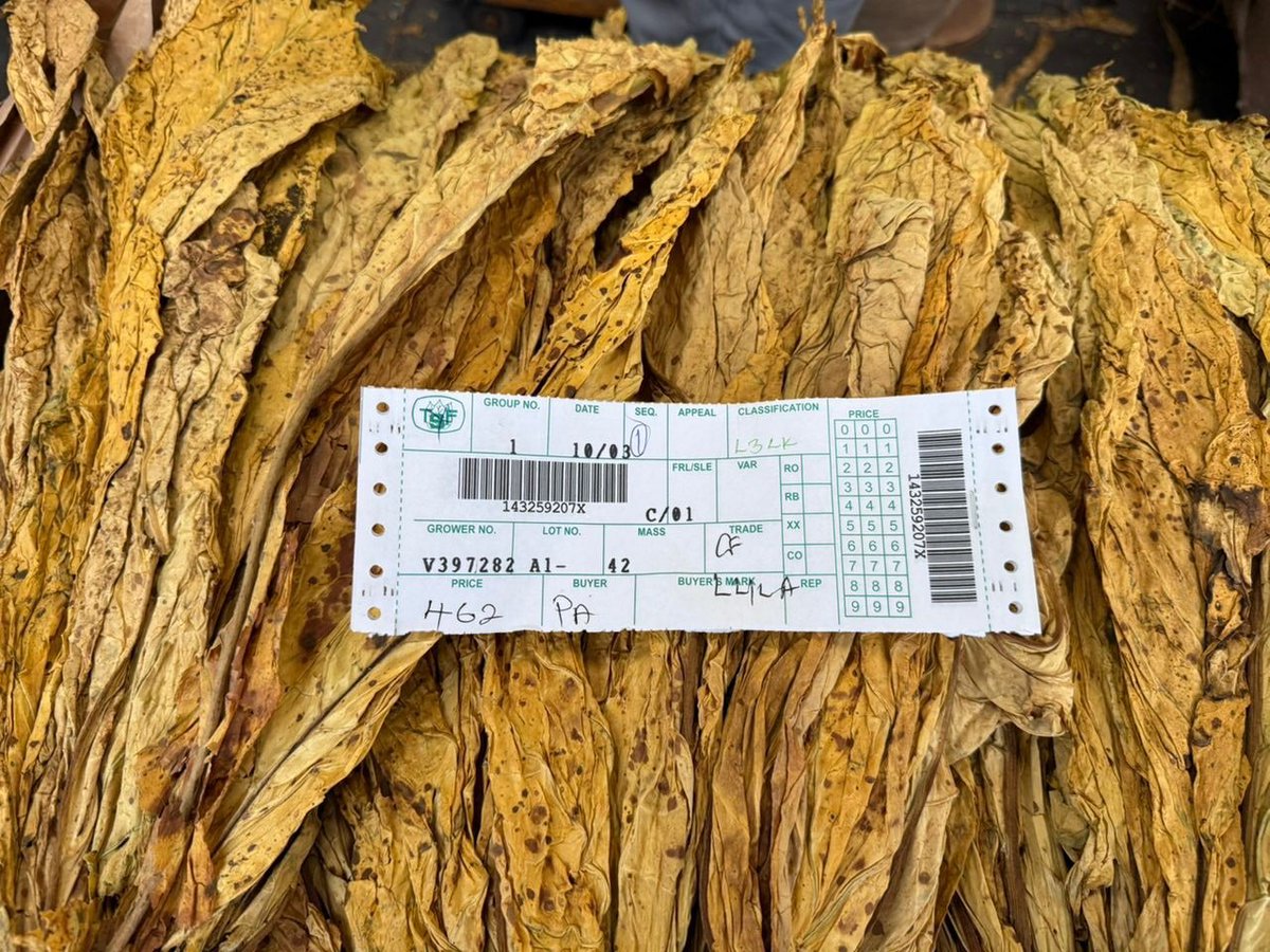 Tobacco Industry & Marketing Board tweet media