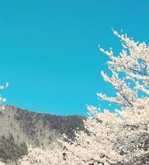 gnomodosalve's tweet photo. いえーい 👩 https://t.co/8zPZddRYi3