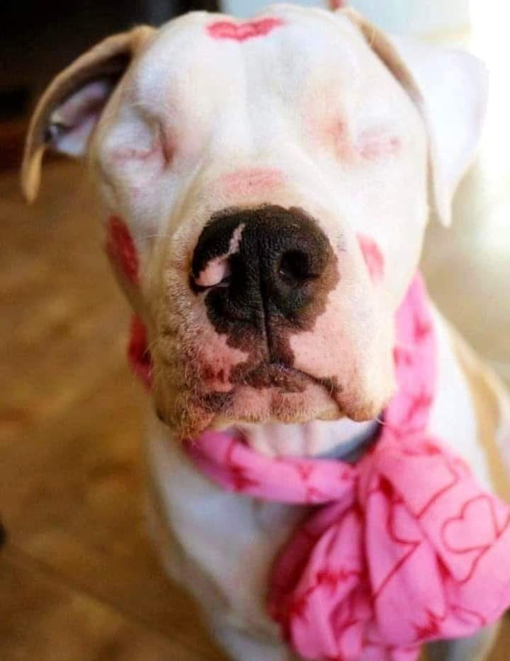 I know i'm not going to get a kiss 💋 cos I'm not pretty 😕💔