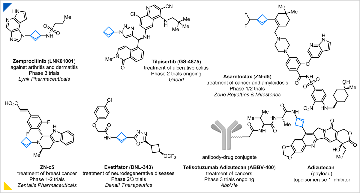 Mykhailiuk Chem 🇺🇦 tweet media