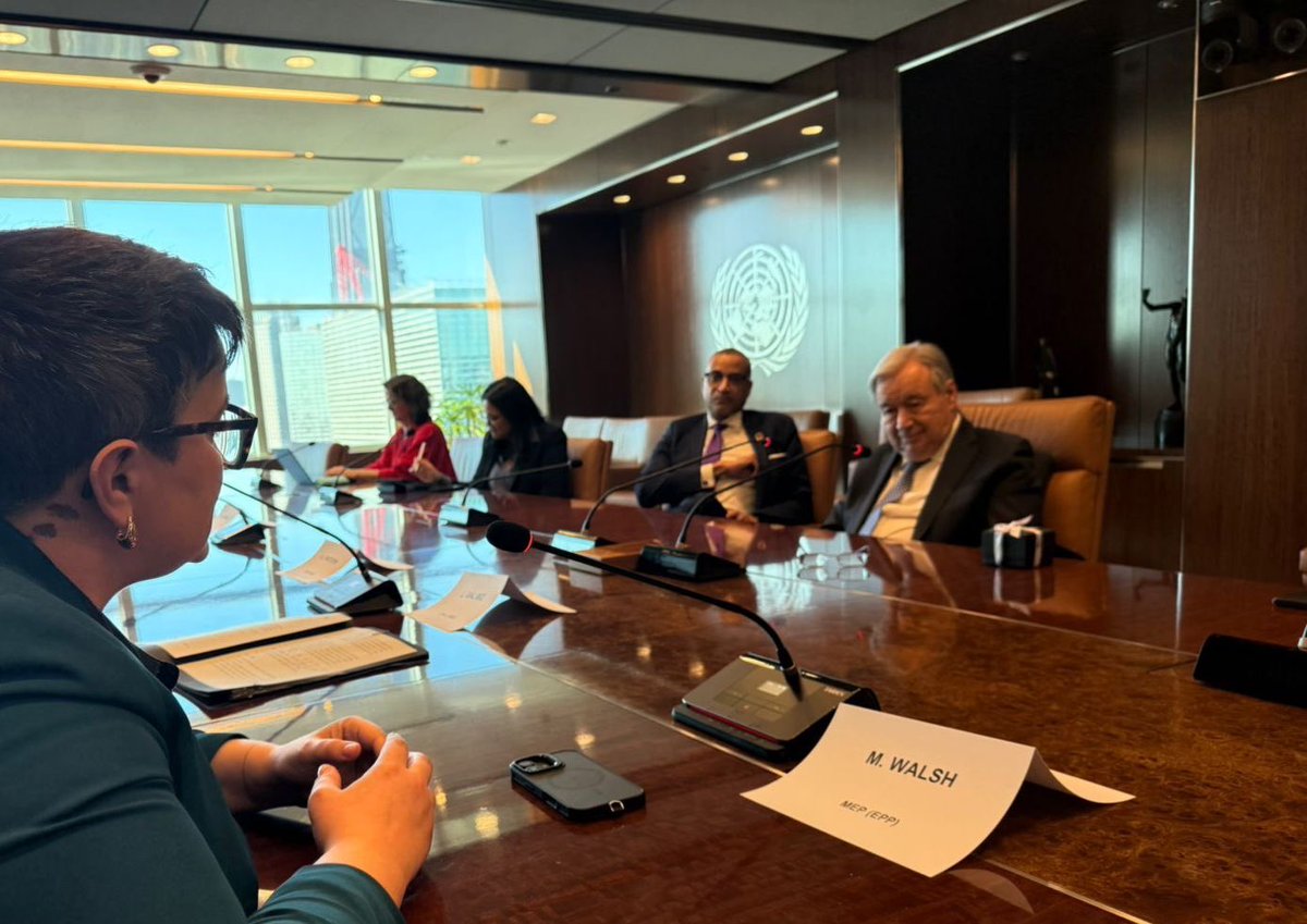 Maria Walsh MEP tweet media