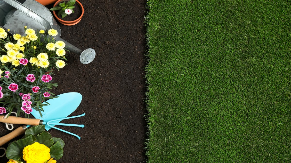 Millaven1's tweet photo. ¿Qué se necesita para poner a punto el jardín?

#cultivos #jardín #cultivar #primavera #tractores #CanAm 

https://t.co/E4AkSFb3kk https://t.co/mXJIJHkElt