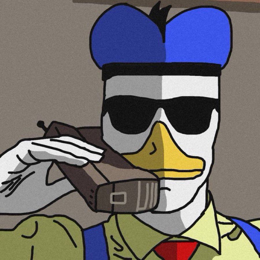 RAser 🪓🦆 tweet media