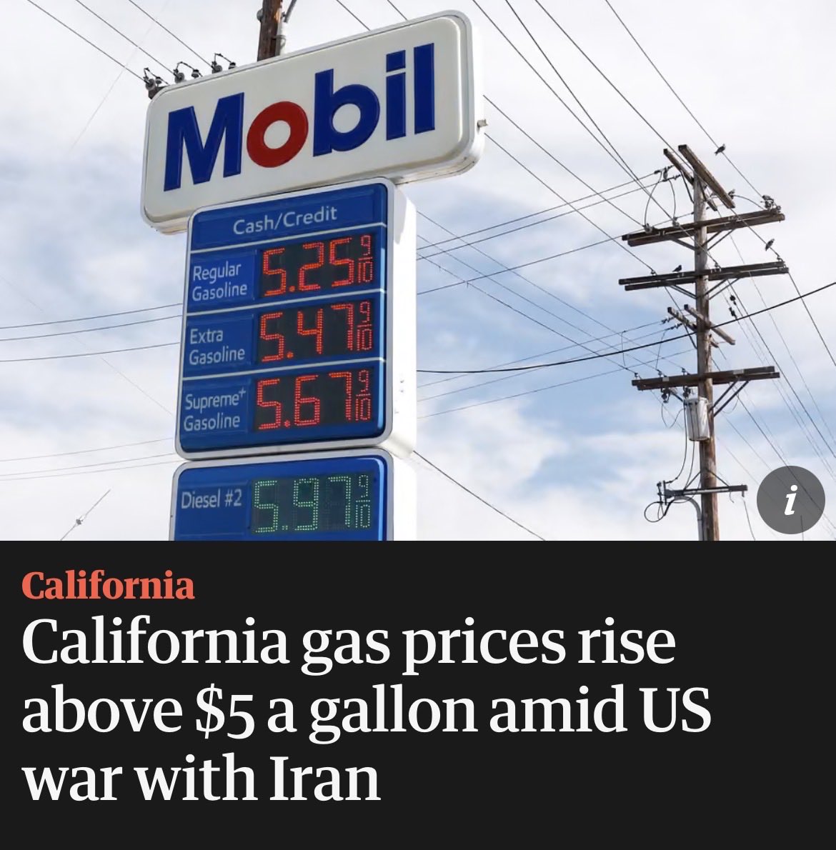 Marina Purkiss tweet media