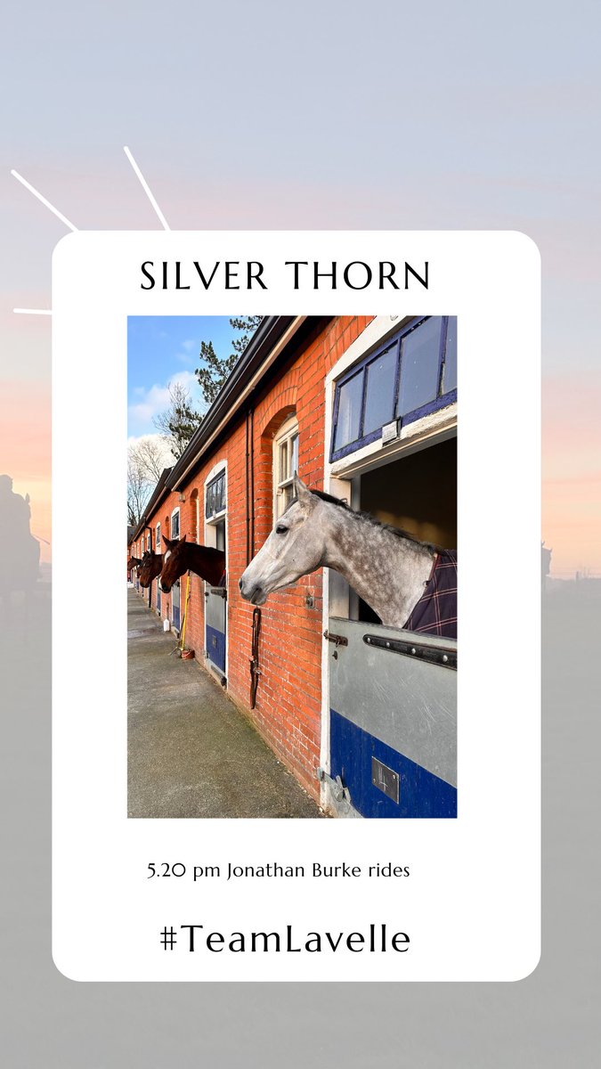 Emma Lavelle tweet media