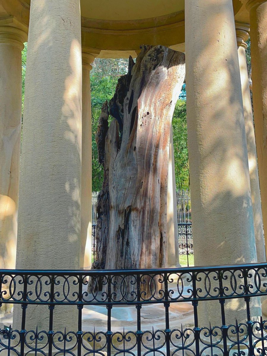 VisitBiscay tweet media