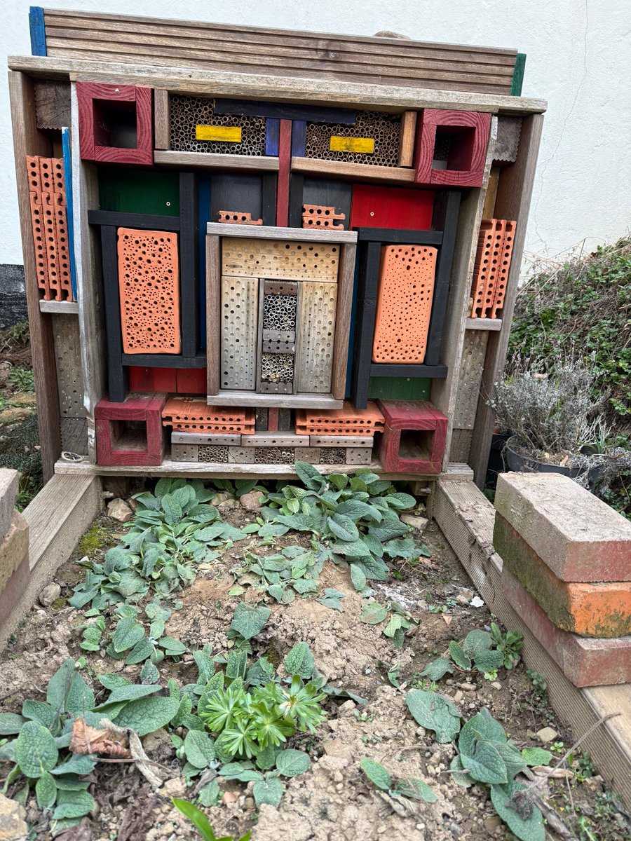 Bau eines Spatzenhotels im Wildbienen -Cube in Kronenburg