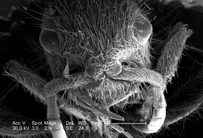 Jun-Ho Kim tweet media