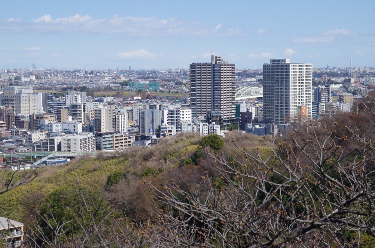 ユウマリ tweet media