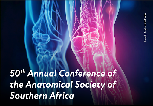SA_NCB's tweet photo. The SANCB Bid Support Programme helped the Anatomical Society of Southern Africa attract delegates from nine countries to explore the intersection of AI and anatomy during its 50th-anniversary celebrations.

The conference explored the cutting edge of "A“anatomy” Intelligence,"  integrating AI into traditional medical research.

Read more: https://t.co/114ypQDfdO

#MeetInSouthAfrica #ComeFindYourJoyInSouthAfrica