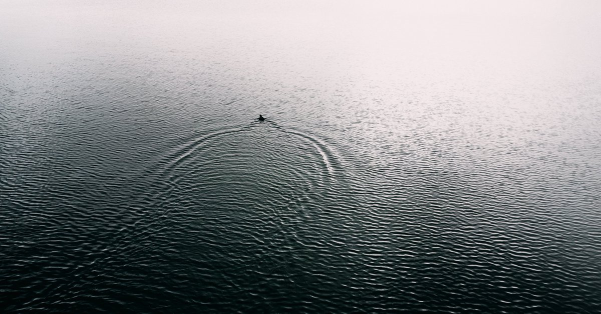 r_shift_'s tweet photo. SIGMA fp https://t.co/RVquimjXNp