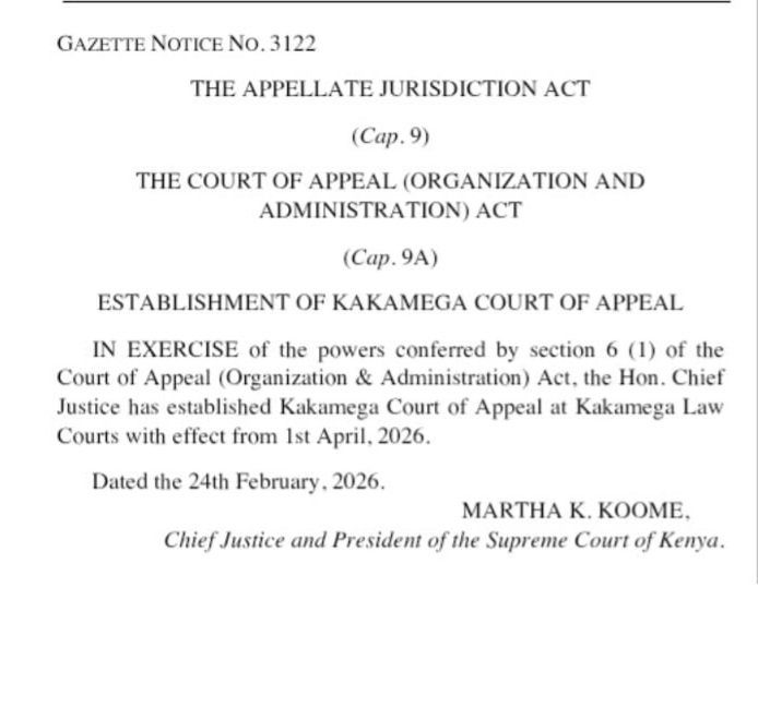 JacquelineIngutiah tweet media