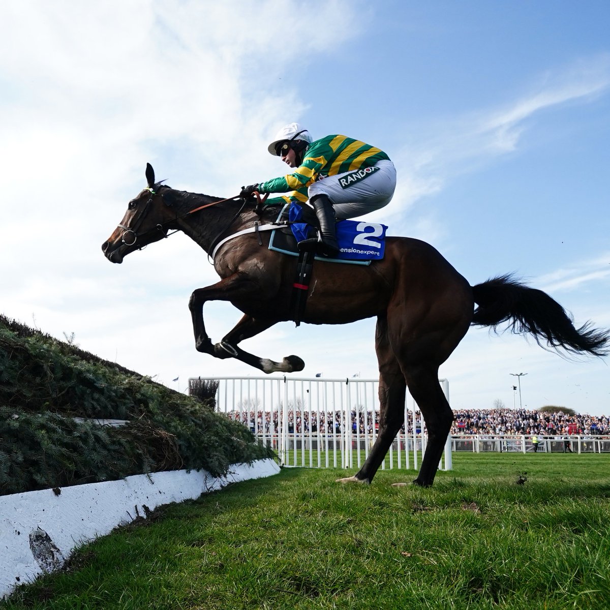 At The Races tweet media