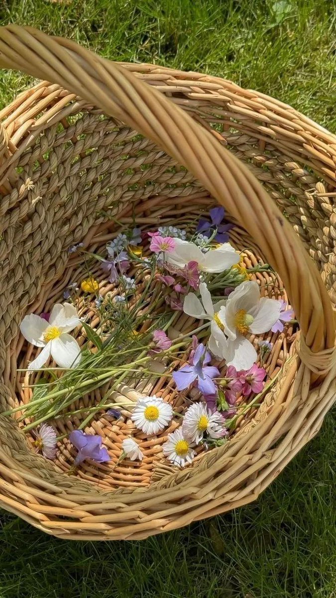 Purely Green tweet media