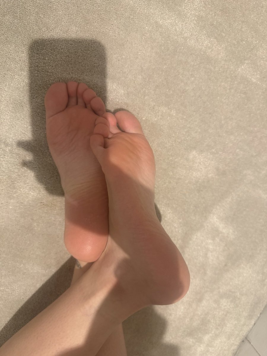 番茄不炒蛋 tweet media