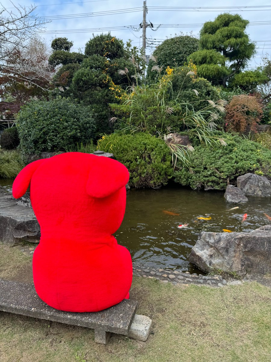 チーバくん tweet media