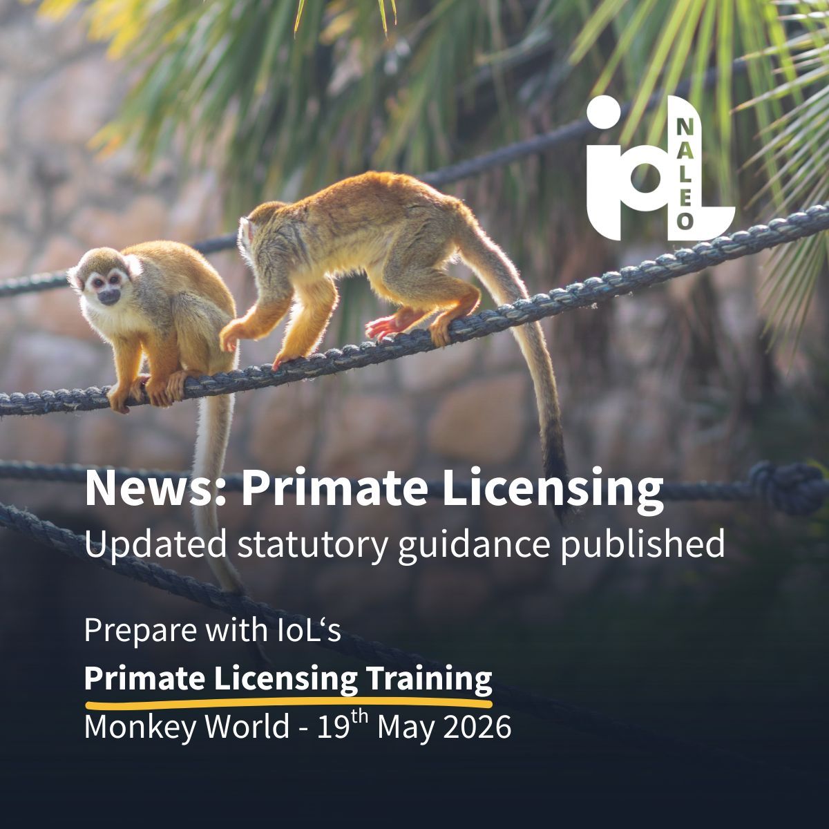 InstituteofLicensing tweet media