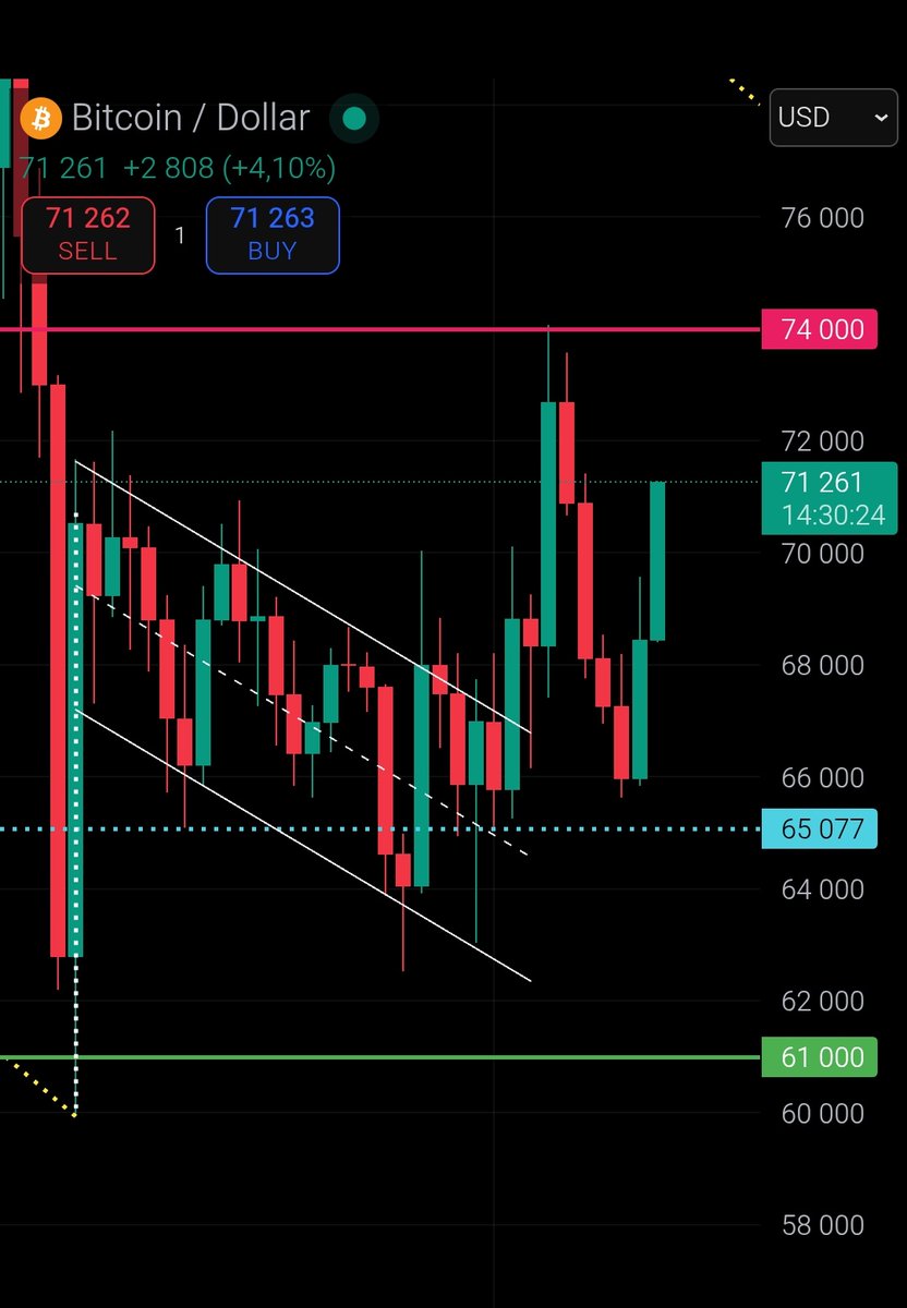 Bitcoinizer 🐉 tweet media
