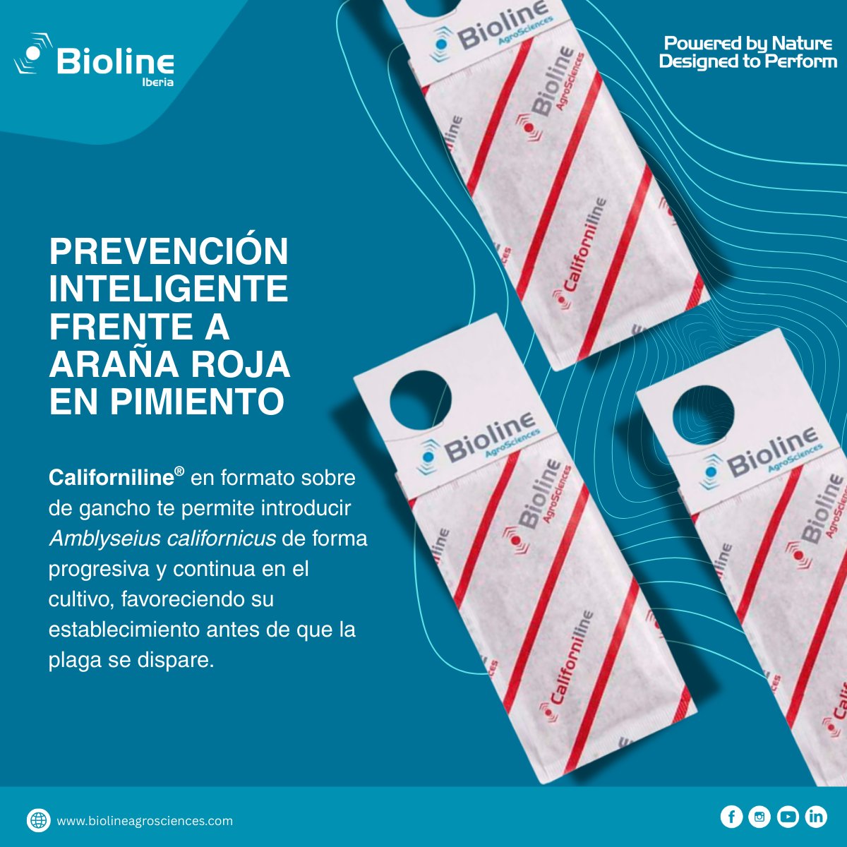 Bioline Iberia tweet media