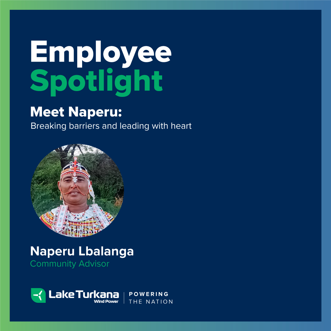 Lake Turkana Wind Power tweet media