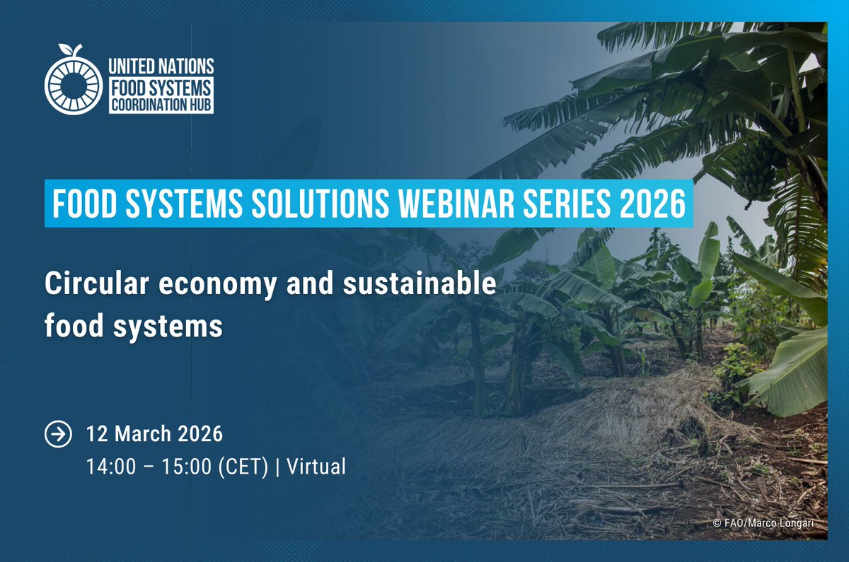 UN Food Systems Coordination Hub tweet media