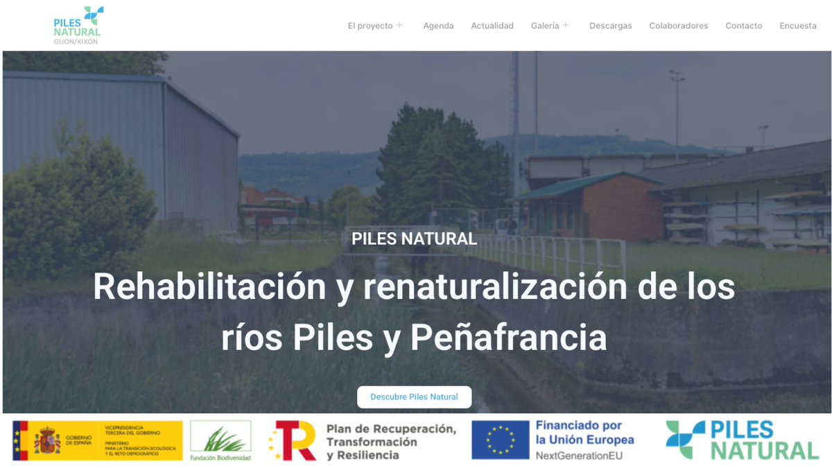 pilesnatural's tweet photo. ¿Quieres conocer más a fondo el proyecto Piles Natural? En nuestra sección de Descargas puedes acceder a informes, planos, estudios y materiales completos sobre la renaturalización del río.
🔎 Encuéntralos en 👉 https://t.co/iyObtHrOpJ https://t.co/Mgo9EhrDeE