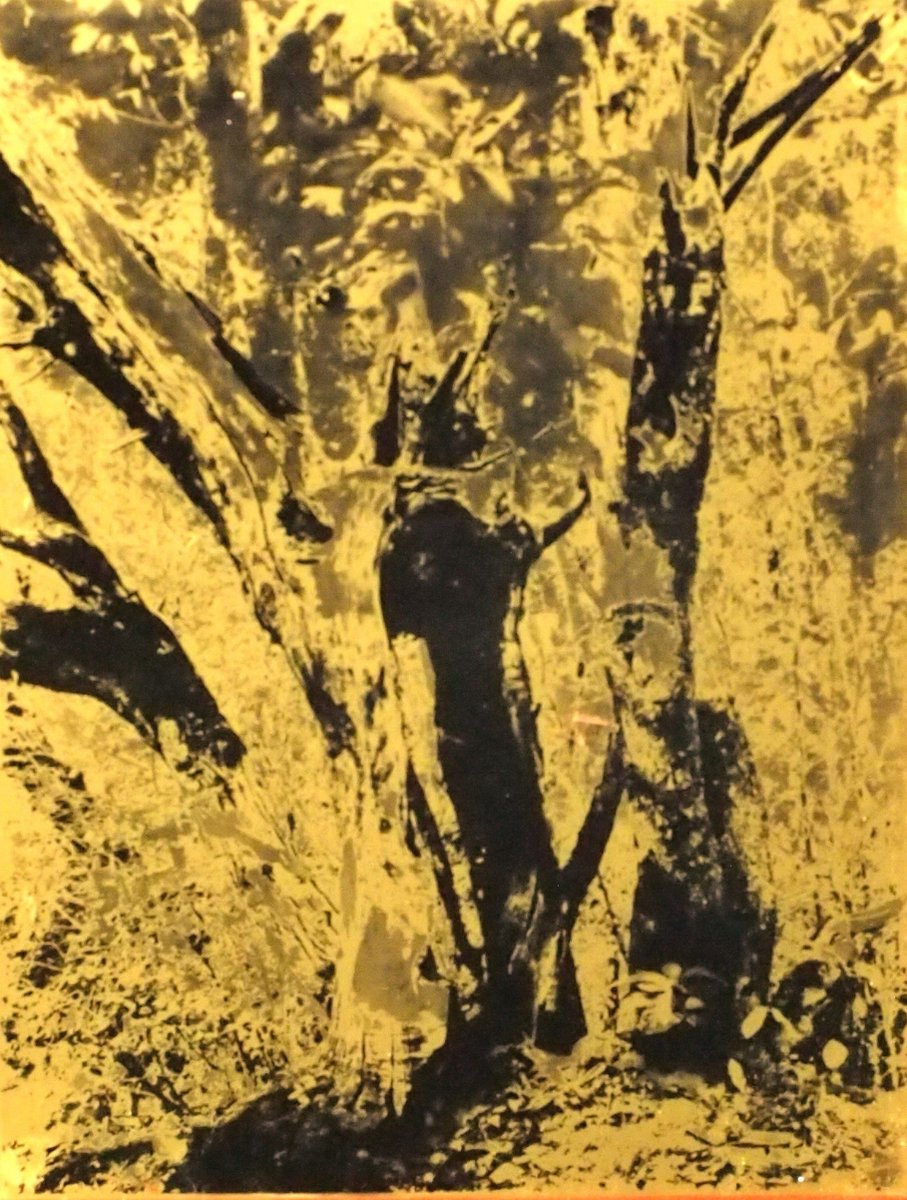 Traditional Photography - Montblanc tweet media