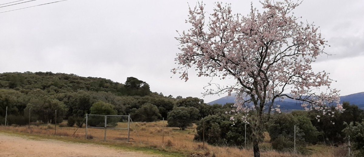 Nueva entrada en nuestro blog.
PROYECTO PARA LA SERRANILLA.
¿Es este el modelo?

entornolosmolinos.org/2026/03/proyec…